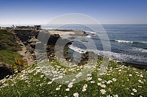 Beach at La Jolla, San Diego