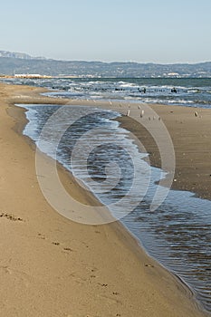 Beach of La Marquesa, Deltebre, Delta de l`Ebre, Tarragona, Cata photo