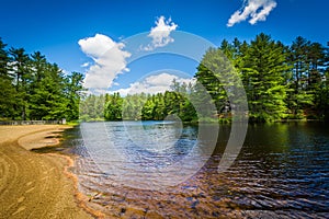 Beach on a lake at Bear Brook State Park, New Hampshire. photo