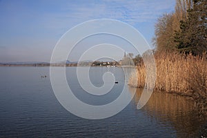 The Beach of Lake Constance at Radolfzell