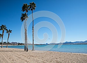 Beach at Lake Havasu