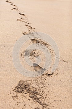 Beach landscape. footprint detail