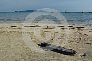 Beach landscape. Koh Mook. Thailand