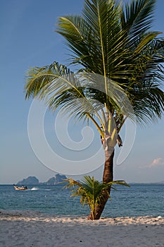 Beach landscape. Koh Mook. Thailand