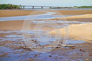 Beach landscape at low tide