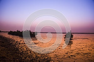 Beach landscape with at night