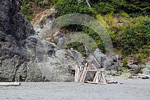 Beach landscape in Olympic National Park, Washington, USA