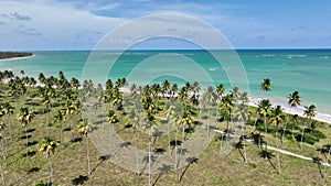 Beach Landscape At Sao Miguel Dos Milagres In Alagoas Brazil.