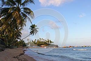 Beach landscape scene at Bahia, Brazil