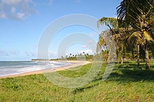 Beach landscape scene at Bahia, Brazil