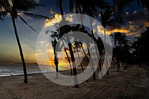 Beach landscape At sunrise Sandy beach sunshine coconut trees tranquil