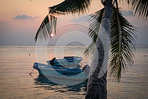 Beach landscape at sunset with two boats and a palm tree giving a deep sense of calmnesss