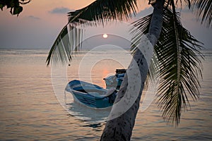 Beach landscape at sunset with two boats and a palm tree giving a deep sense of relaxation