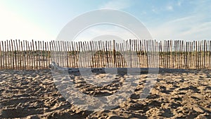 Beach landscape with a wood fence and a tree trunk