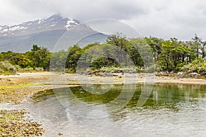 Beach in Lapataia bay,Tierra del Fuego National Park