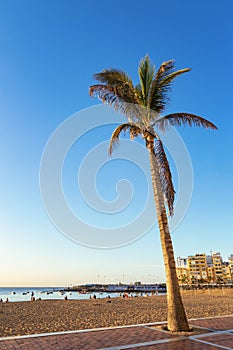 Beach in Las Palmas de Gran Canaria