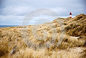 The beach & Lighthouse