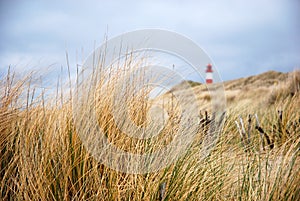 The beach & Lighthouse