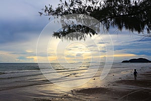 The beach with a little boy walking alone at sunset. The sea with mountains and branches of pine trees