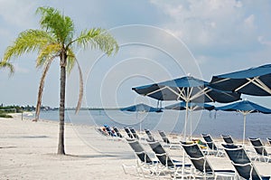 Beach on Little Harbor in Ruskin, Florida