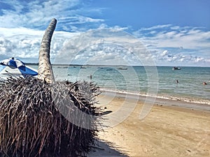 Coroa Vermelha, Bahia - Brazil photo