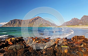 Beach on Lofoten islands in Norway photo