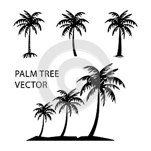 Beach logo and palm trees vector collection