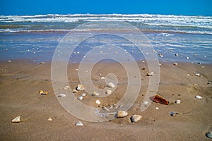 Beach with a lot of seashells on seashore in South Padre Island, Texas