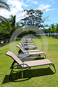 Beach lounge chairs all in a row on grass photo