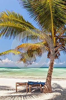 Beach Lounge Chairs under palm tree leaves at the shore of India