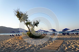 Beach lounge chairs under umbrellas on the seashore