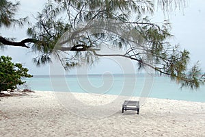 Beach lounger under a tree in Africa photo