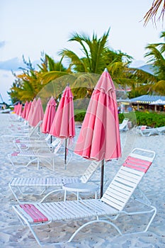 Beach lounges under an umbrella on white sand