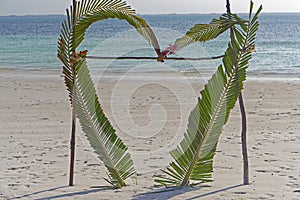 Beach love palm