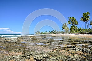 Beach at low tide (Brazil) photo