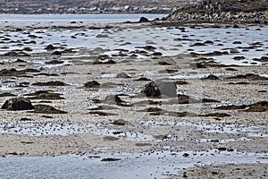 beach at low tide