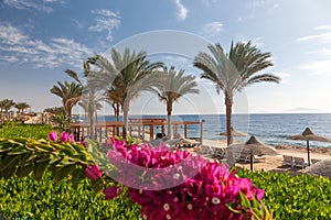 Beach at the luxury hotel, Sharm el Sheikh, Egypt