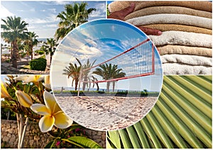 The beach at the luxury hotel, Sharm el Sheikh, Egypt