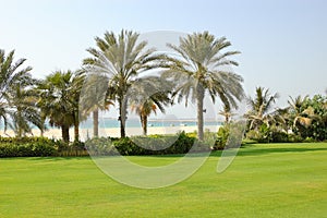 Beach of luxury hotel with a view on Palm Jumeirah