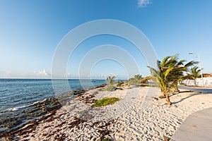 The beach in Mahahual, Mexico