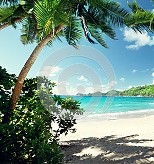 Beach, Mahe island, Seychelles