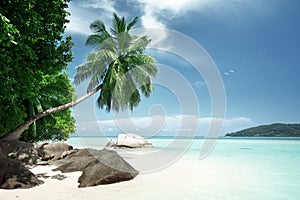 Beach on Mahe island in Seychelles