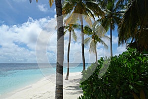 Beach on a Maldive Island