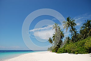 Beach in the Maldives