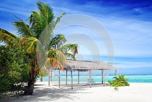 Beach in Maldives