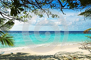 Beach of maldivian island photo