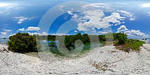 Beach and mangroves. 360 panorama VR.