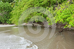 Beach Manuel Antonio Costa Rica