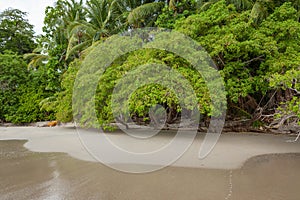 Beach Manuel Antonio Costa Rica