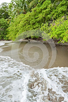 Beach Manuel Antonio Costa Rica